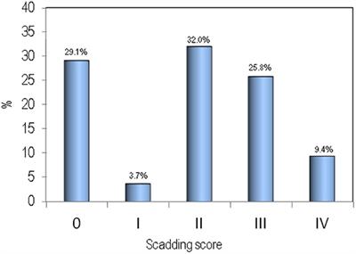 Bone fragility and sarcoidosis: An underestimated relationship